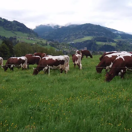 Palfnerhof Apartmán