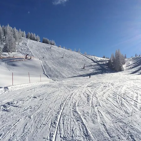 Apartman Palfnerhof *