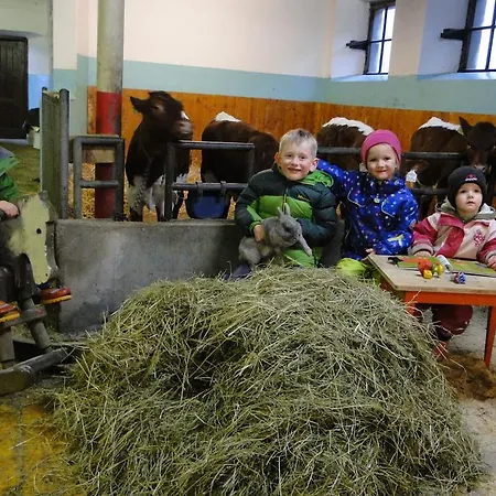Palfnerhof Apartman Sankt Johann im Pongau