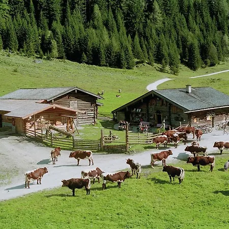 Palfnerhof Apartmán