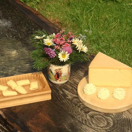 Palfnerhof Sankt Johann im Pongau