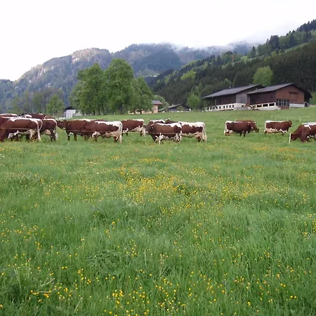 Palfnerhof Apartman *