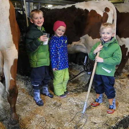 Apartmán Palfnerhof Sankt Johann im Pongau