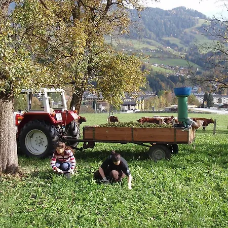 Palfnerhof