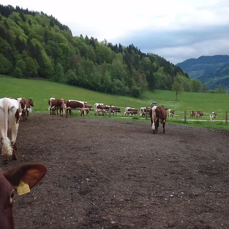 Apartman Palfnerhof *