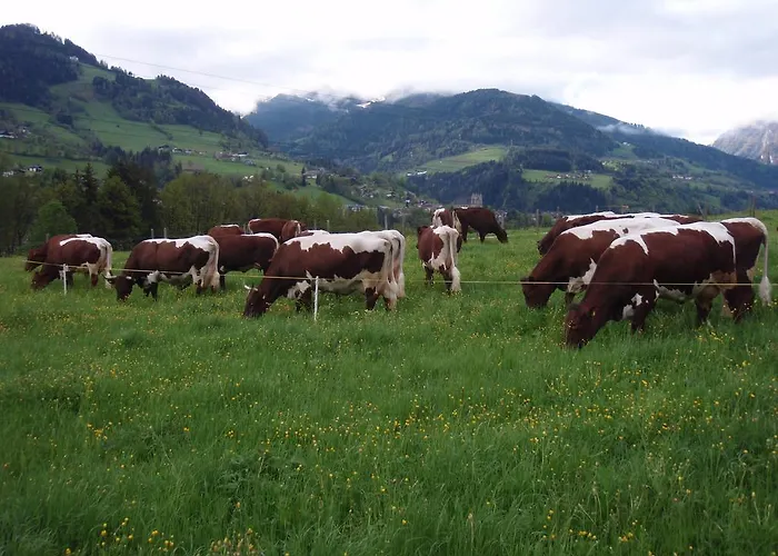 Palfnerhof Apartamento