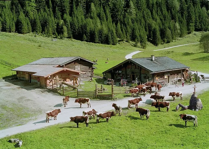 Palfnerhof Apartamento