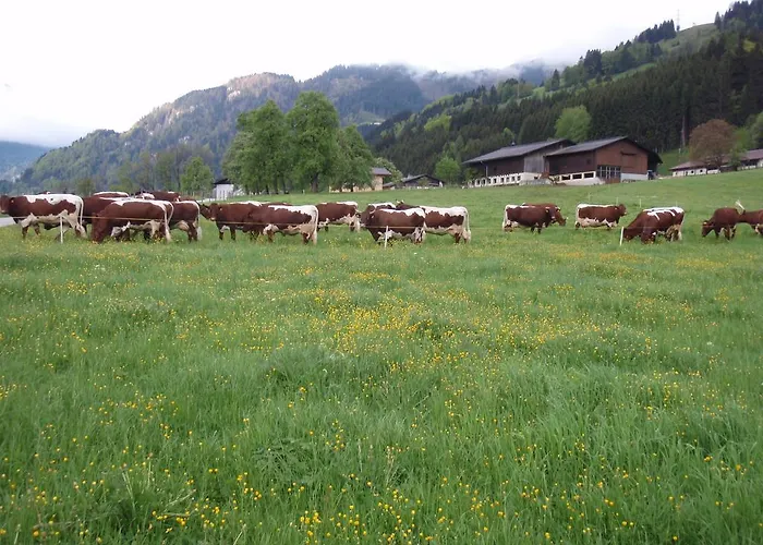 Palfnerhof Apartamento *