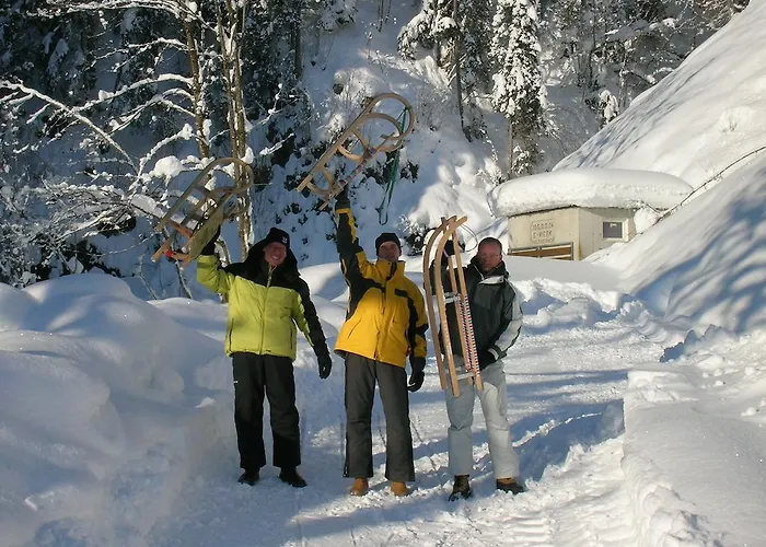 Apartamento Palfnerhof *